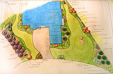 Preliminary landscape plan