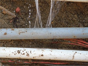 Electrical conduit used as Irrigation mainline