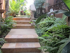 Custom Landscape Renovation - La Jolla