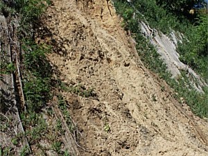Hillside collapse #3