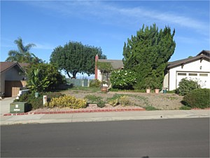 Sauer Residence <span>Kurapia lawn substitute</span>