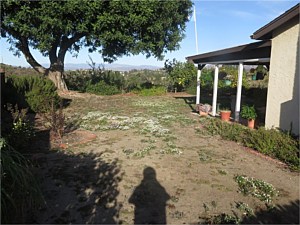 Sauer Residence <span>Kurapia lawn substitute</span>