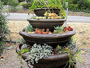 Landscape Pottery & Planters