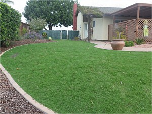 Sauer Residence <span>Kurapia lawn substitute</span>