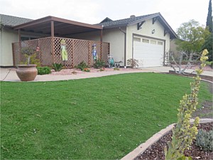 Sauer Residence <span>Kurapia lawn substitute</span>