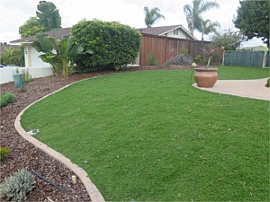 Sauer Residence <span>Kurapia lawn substitute</span>