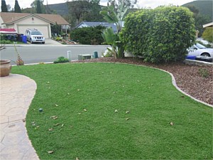 Sauer Residence <span>Kurapia lawn substitute</span>