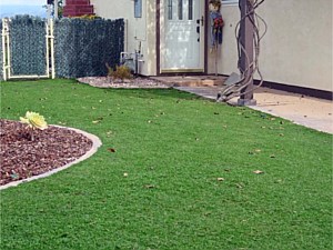 Kurapia lawn substitute #2