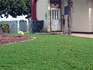 Kurapia Groundcover – A Lawn Substitute