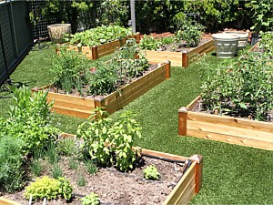 Planter boxes - completed