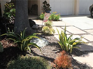 Drought Tolerant & Low Water Use Landscapes