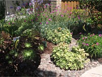 Drought Tolerant & Low Water Use Landscapes