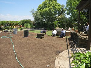 Andersen, Ken <span>from W. Andersen Nursery</span>