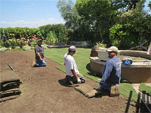 Andersen, Ken <span>from W. Andersen Nursery</span>