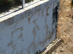 Hardscape/Walls