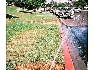 Irrigation asphalt damage