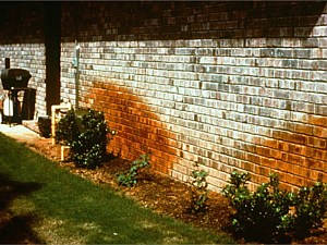 Irrigation overspray on house
