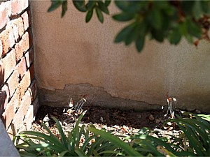 Stucco damage from irrigation