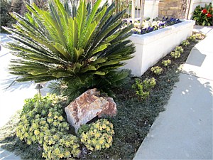 Drought Tolerant & Low Water Use Landscapes