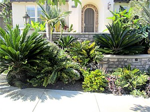 Drought Tolerant & Low Water Use Landscapes