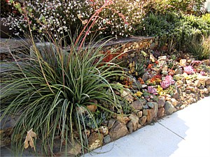 Drought Tolerant & Low Water Use Landscapes