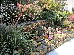 Drought Tolerant & Low Water Use Landscapes