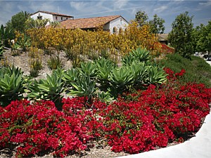 Drought Tolerant & Low Water Use Landscapes