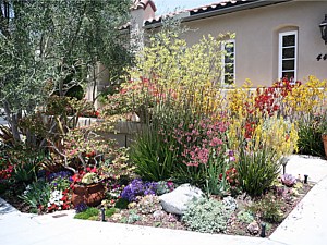 Drought Tolerant & Low Water Use Landscapes