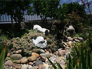 Drought Tolerant & Low Water Use Landscapes