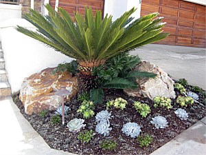 Drought Tolerant & Low Water Use Landscapes