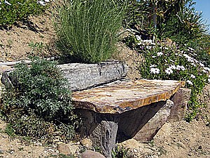 Drought Tolerant & Low Water Use Landscapes